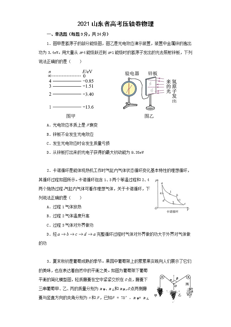 2021山东省高考压轴卷：物理+答案解析01