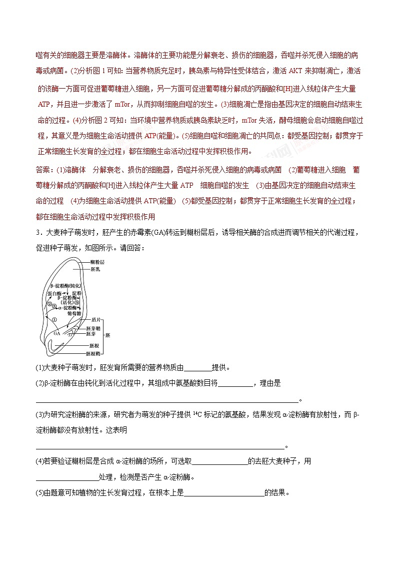 高考物理-简答题解题方法与技巧03