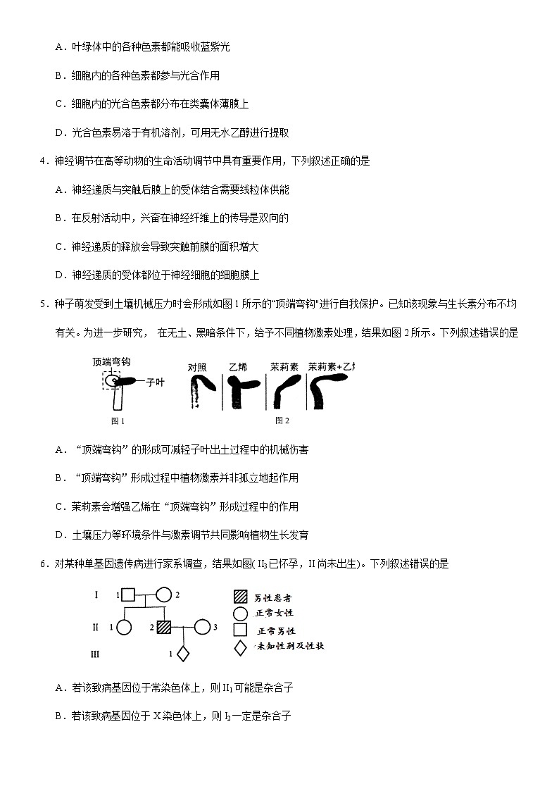 2021届广西南宁市第二中学高三下学期5月第二次模拟考试理综试题02