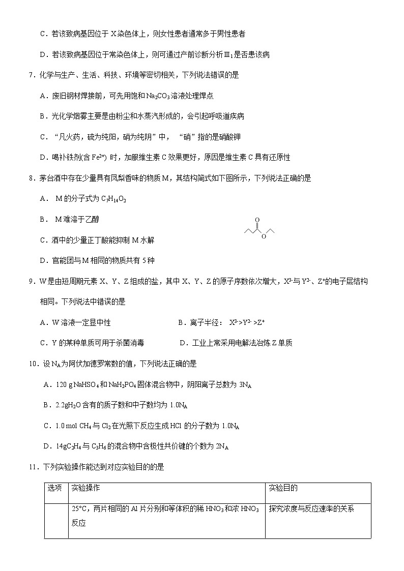 2021届广西南宁市第二中学高三下学期5月第二次模拟考试理综试题03