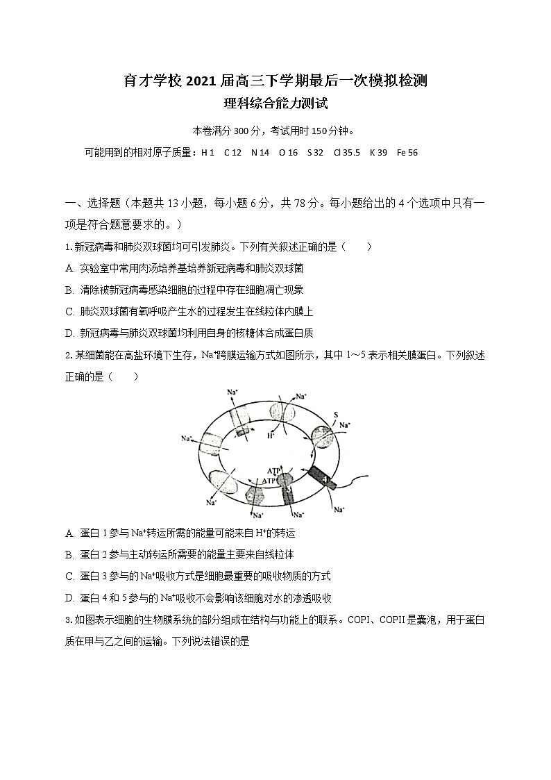 2021届安徽省滁州市定远县育才学校高三下学期最后一模理科综合试题01