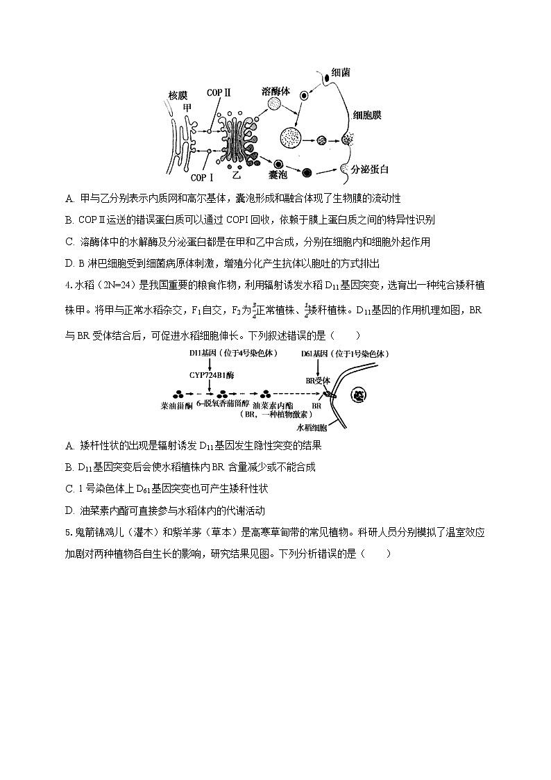 2021届安徽省滁州市定远县育才学校高三下学期最后一模理科综合试题02