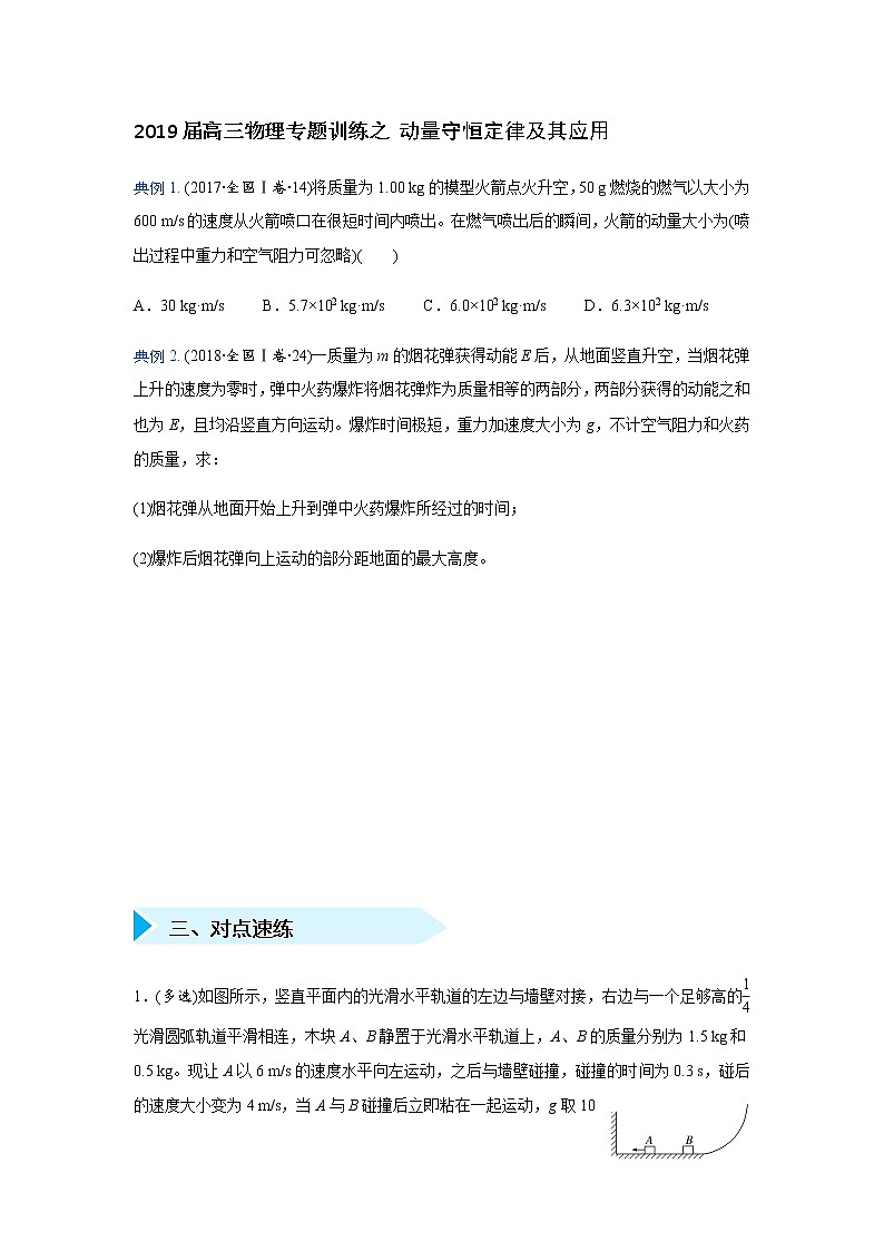 2019届高三物理专题训练之 动量守恒定律及其应用第1页