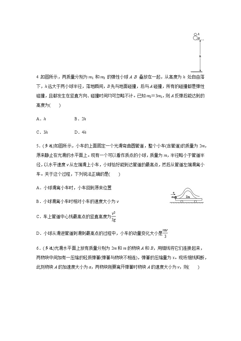 2019届高三物理专题训练之 动量守恒定律及其应用第3页