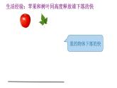 粤教版物理第一册第二章第四节《自由落体运动》课件