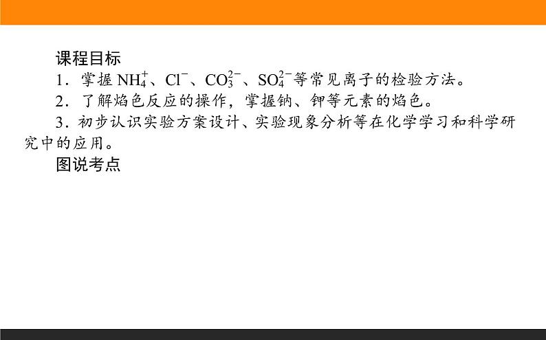 高中化学苏教版必修第一册：2.1.3+物质的检验(课件）02