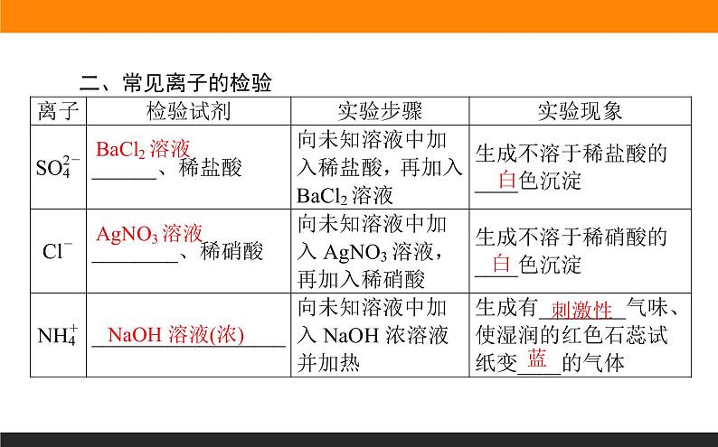 高中化学苏教版必修第一册：2.1.3+物质的检验(课件）05