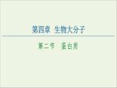2020_2021学年新教材高中化学第4章生物大分子第2节蛋白质课件新人教版选择性必修3