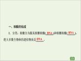 2020_2021学年新教材高中化学第4章生物大分子第3节核酸课件新人教版选择性必修3