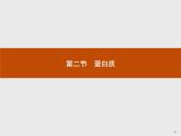4.2 蛋白质 课件（50张ppt）+练习（含解析）