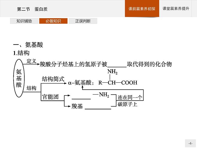 4.2 蛋白质 课件（50张ppt）+练习（含解析）04