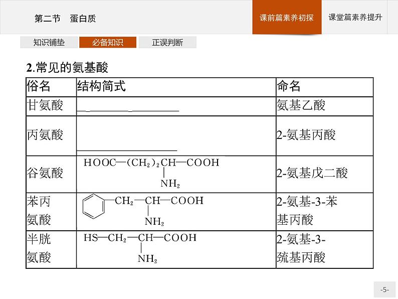 4.2 蛋白质 课件（50张ppt）+练习（含解析）05