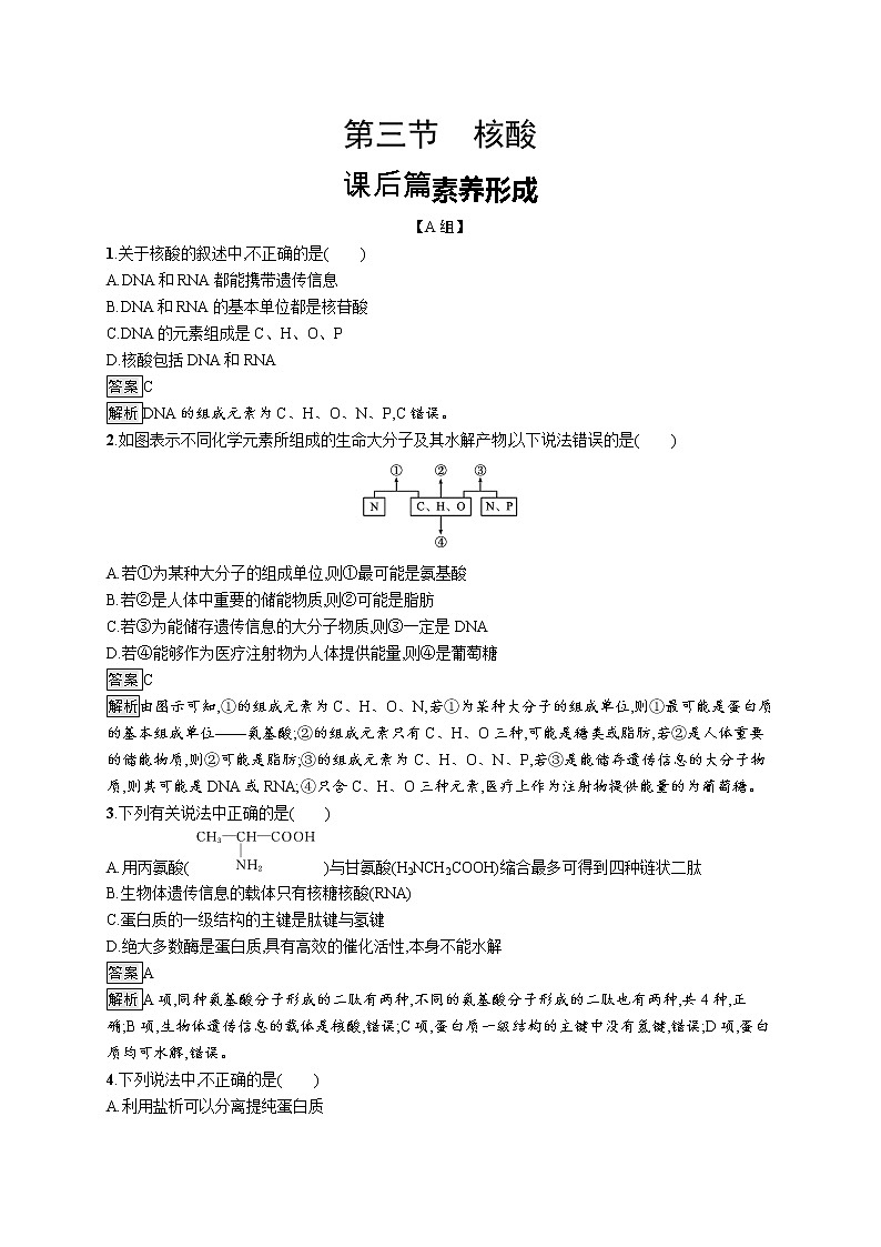 4.3 核酸 课件（25张ppt）+练习（含解析）01