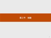 4.3 核酸 课件（25张ppt）+练习（含解析）