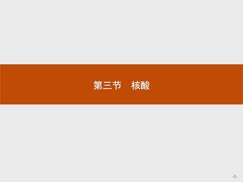 4.3 核酸 课件（25张ppt）+练习（含解析）01