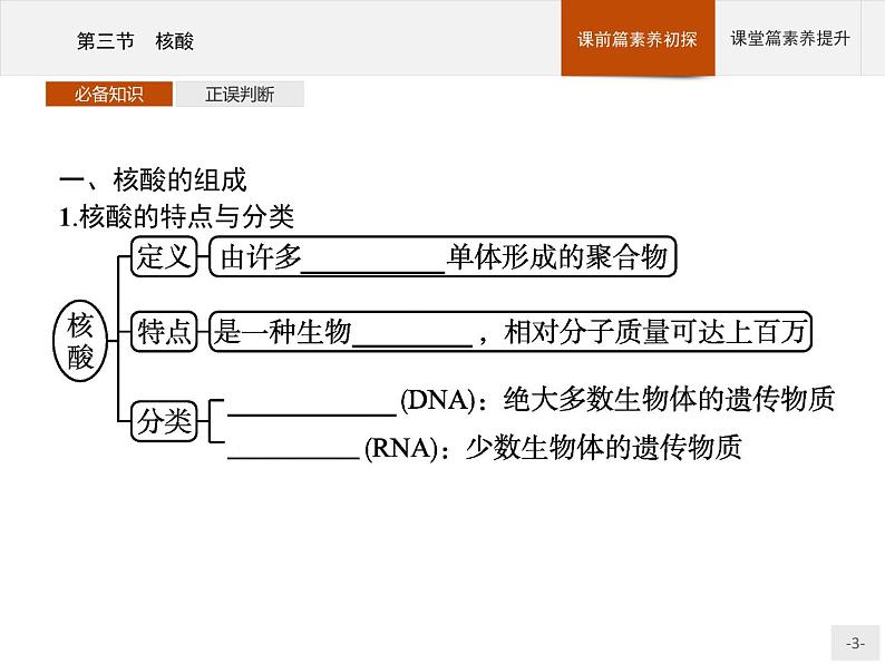 4.3 核酸 课件（25张ppt）+练习（含解析）03