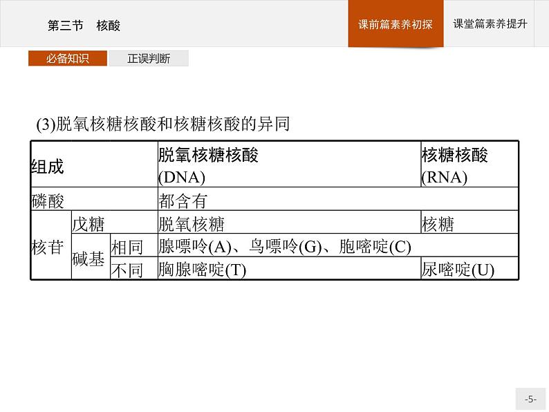 4.3 核酸 课件（25张ppt）+练习（含解析）05