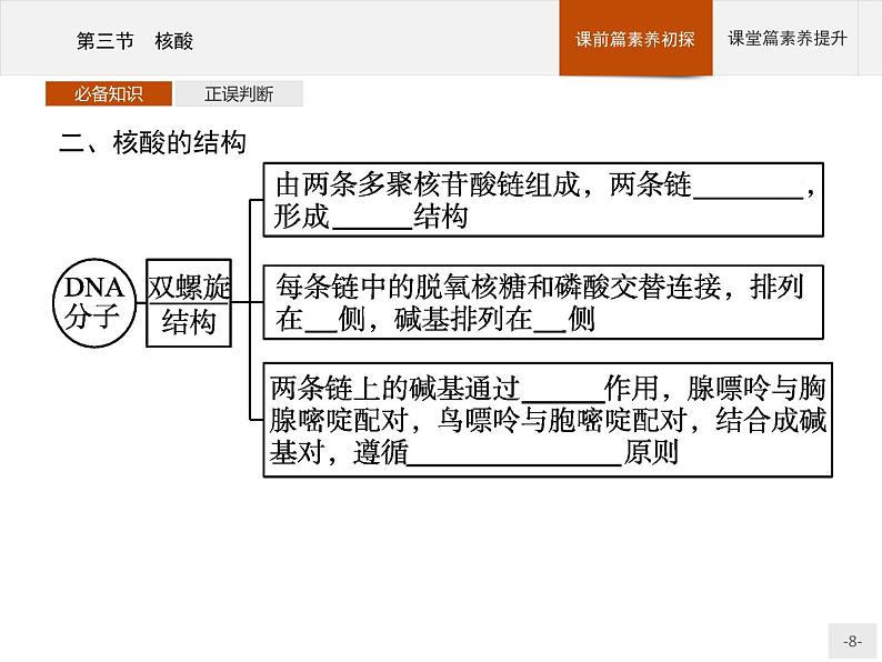 4.3 核酸 课件（25张ppt）+练习（含解析）08