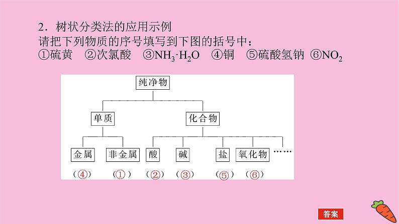 新教材2022届新高考化学人教版一轮课件：2.1 物质的分类及转化第8页