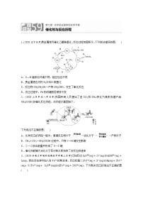 2022年高考化学一轮复习每日一练  第7章微题型59催化剂与反应历程