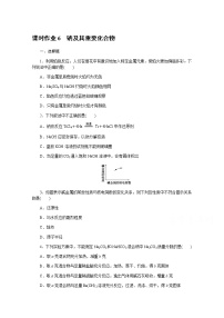 新教材2022届新高考化学人教版一轮课时作业：6　钠及其重要化合物