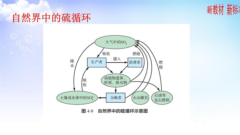 4.3  防治二氧化硫对环境的污染 课件-2021-2022学年苏教版（2019）高中化学必修第一册03