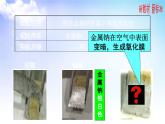 3.2.1 鈉的性質(zhì)與制備 課件-2021-2022學(xué)年蘇教版（2019）高中化學(xué)必修第一冊(cè)