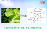 3.3.2 從海水中提取鎂 課件-2021-2022學(xué)年蘇教版（2019）高中化學(xué)必修第一冊(cè)