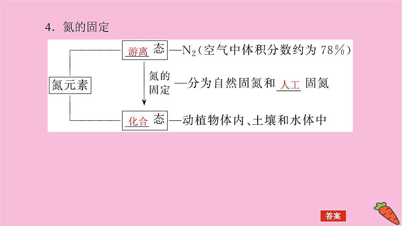 新教材2022届新高考化学人教版一轮课件：4.4 氮及其化合物第7页