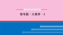 新教材2022届新高考化学人教版一轮课件：微专题·大素养 3 离子方程式书写中的“条件与信息”限制