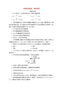 高中化学鲁科版 (2019)必修 第一册第1节 铁的多样性当堂检测题