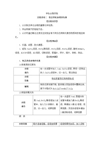 化学必修 第一册实验活动2 铁及其化合物的性质导学案