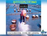 2021年人教版新教材必修一第二章第二节氯及其化合物课件PPT