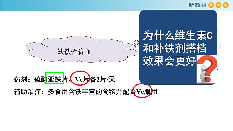 鲁科版高中化学必修第一册3.1.2《铁及其化合物之间的转化关系》课件(1) (含答案)02