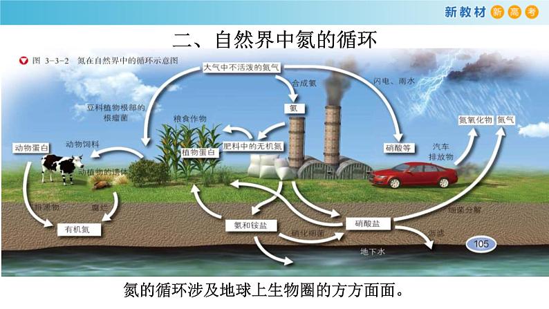 鲁科版高中化学必修第一册3.3.1《自然界中的氮循环 氮的固定》课件(2) (含答案)07