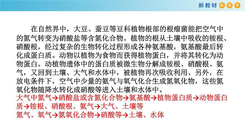 鲁科版高中化学必修第一册3.3.1《自然界中的氮循环 氮的固定》课件(2) (含答案)08