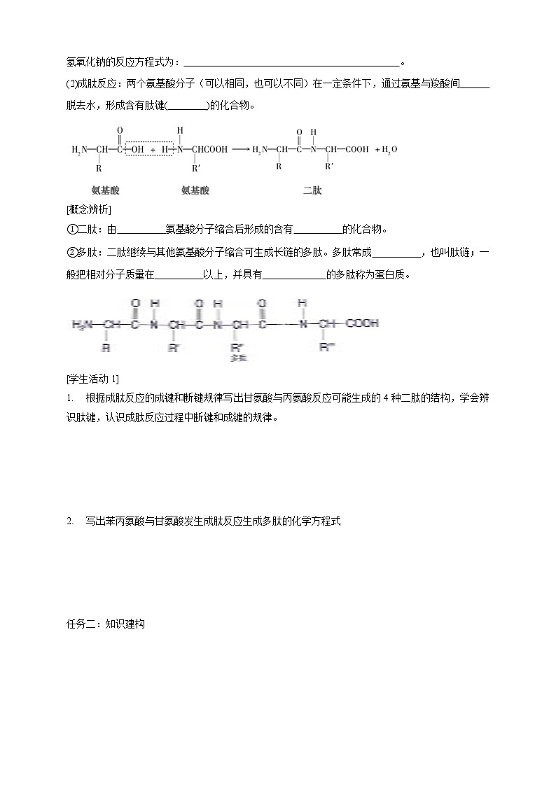 人教版(2019)高化学选择性必修三4.2.1《氨基酸》学案(含解析)02