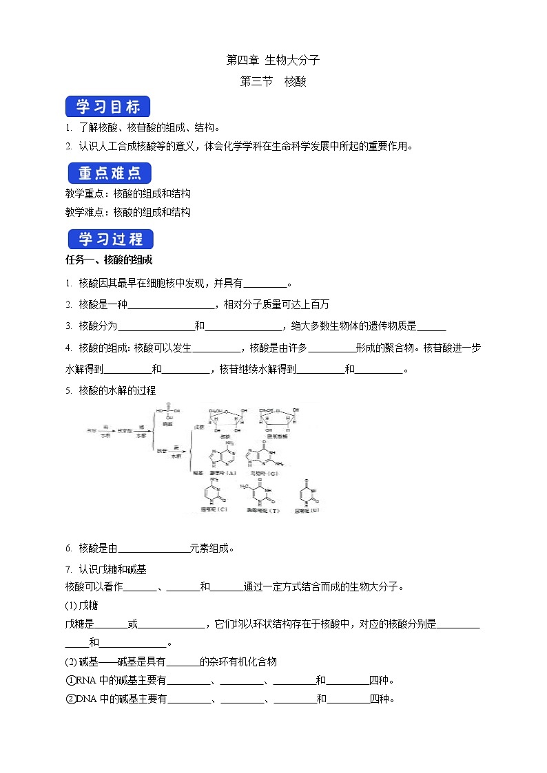 人教版(2019)高化学选择性必修三4.3《核酸》学案(含解析)01
