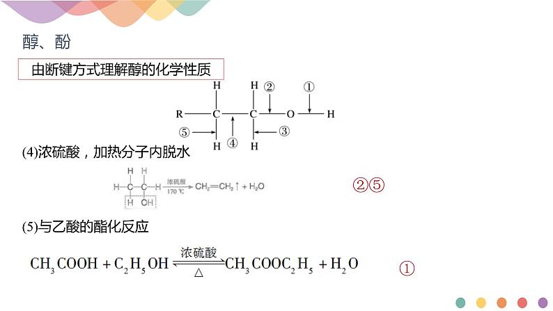 人教版(2019)高化学选择性必修三第3章《章末总结》(含答案）(共25张) 课件08