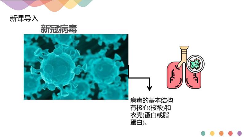 人教版(2019)高化学选择性必修三4.2.1《氨基酸-课件》(含答案）02