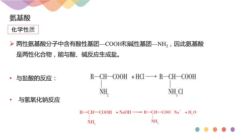 人教版(2019)高化学选择性必修三4.2.1《氨基酸-课件》(含答案）06