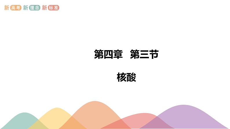 人教版(2019)高化学选择性必修三4.3《核酸》(含答案）(共21张) 课件01