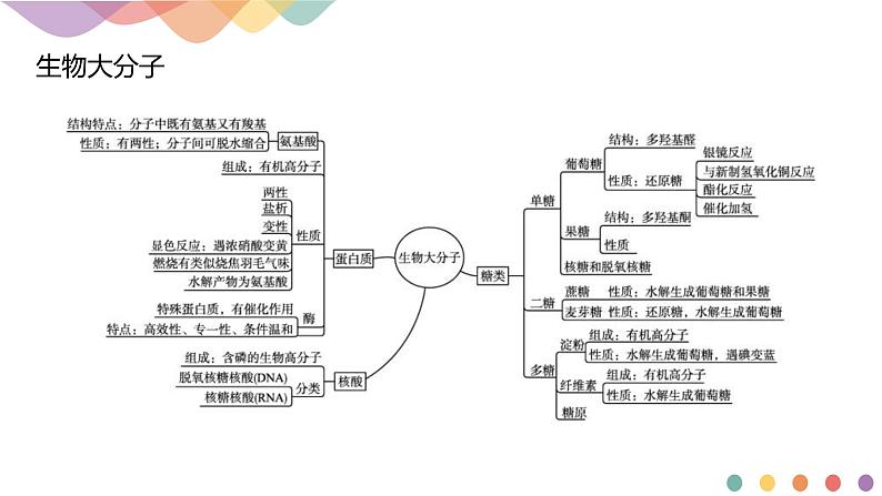 人教版(2019)高化学选择性必修三第4章《章末总结》(含答案）共19张第2页