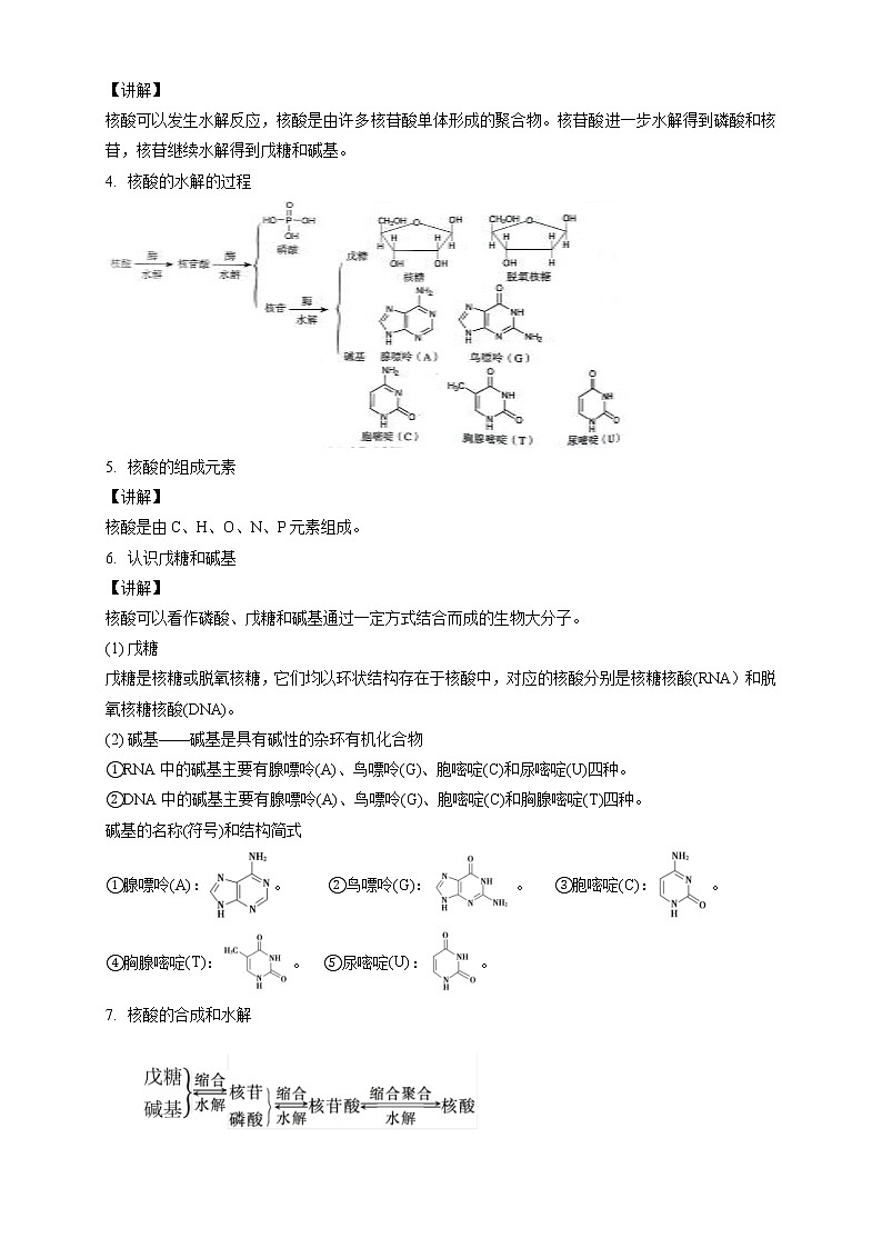 人教版(2019)高化学选择性必修三4.3《核酸》教学设计02