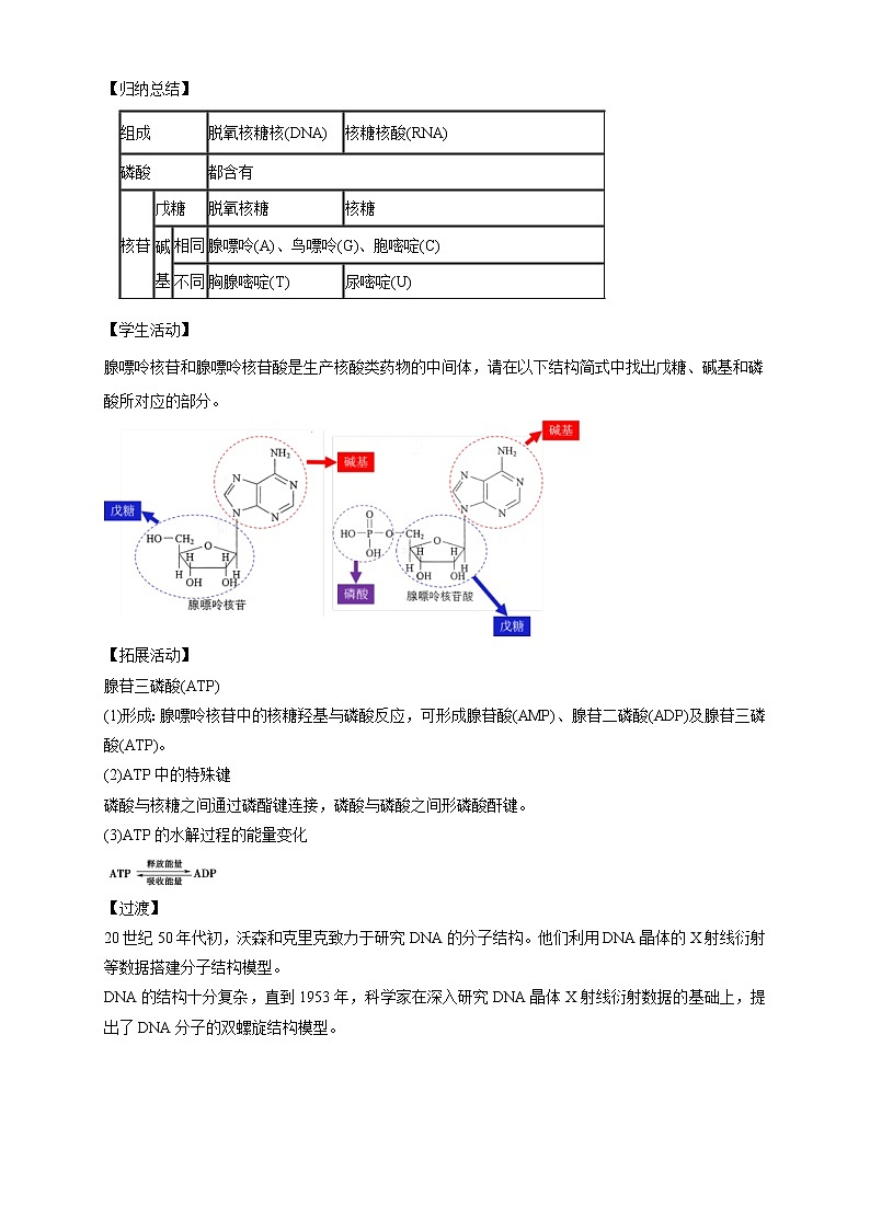 人教版(2019)高化学选择性必修三4.3《核酸》教学设计03