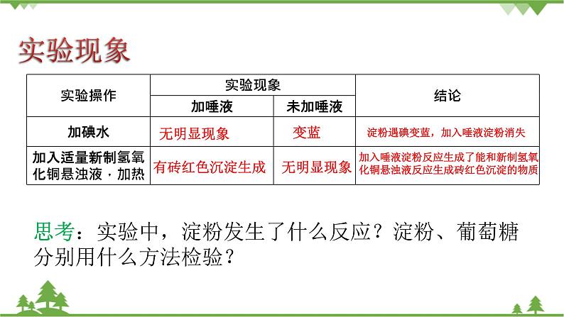 鲁科版高中化学必修第二册3.3.3 糖类、油脂和蛋白质(课件+教案+学案+练习）07