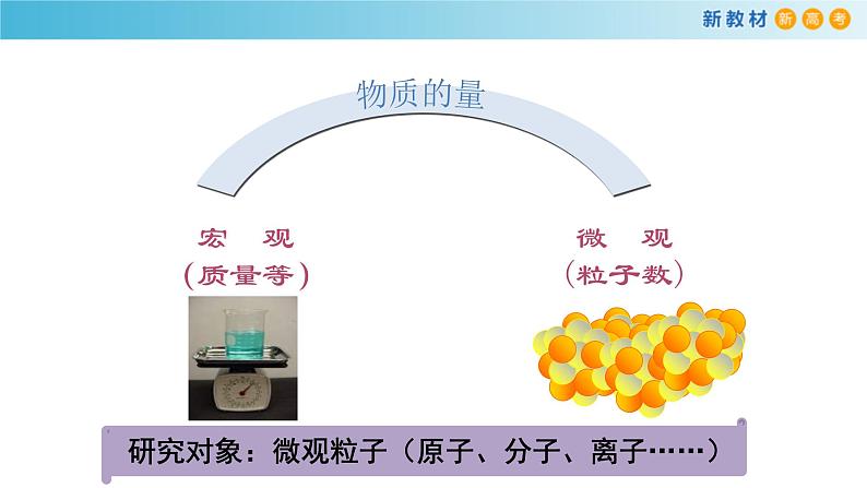 鲁科版高中化学必修第一册1.3.1《物质的量及其单位—摩尔  摩尔质量》课件(1) (含答案)03