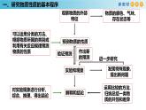 鲁科版高中化学必修第一册1.2.2 《研究物质性质的基本程序》课件(2)（含答案）