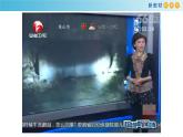 鲁科版高中化学必修第一册1.2.2 《研究物质性质的基本程序》课件(2)（含答案）