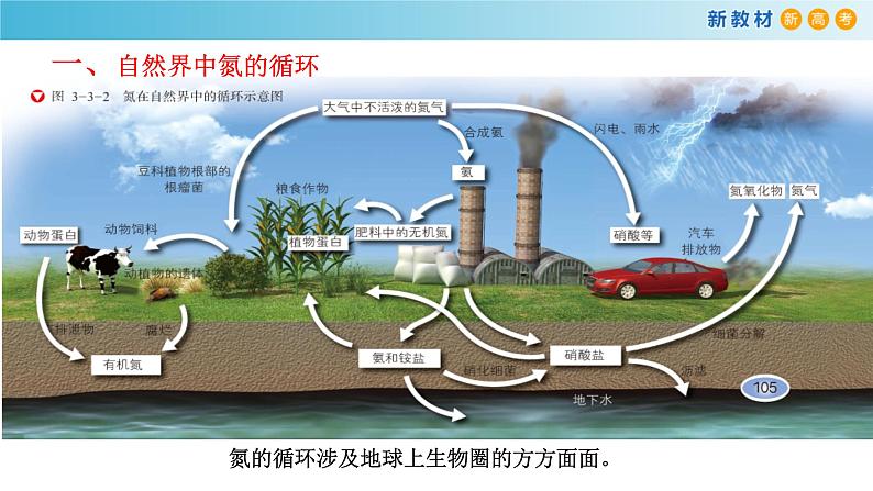 【新教材精创】3.3.1 自然界中的氮循环 氮的固定课件（1）第4页